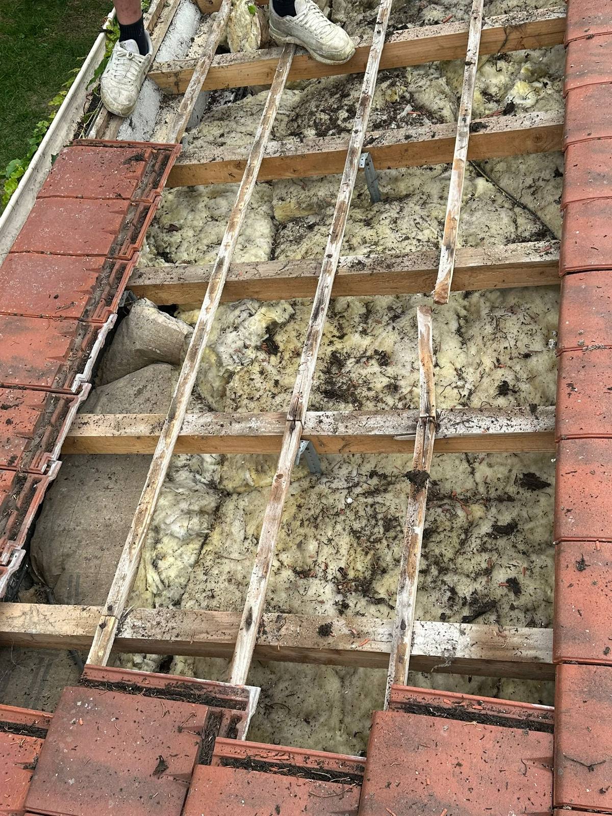 Charpente de toiture mise à nu avant rénovation complète.